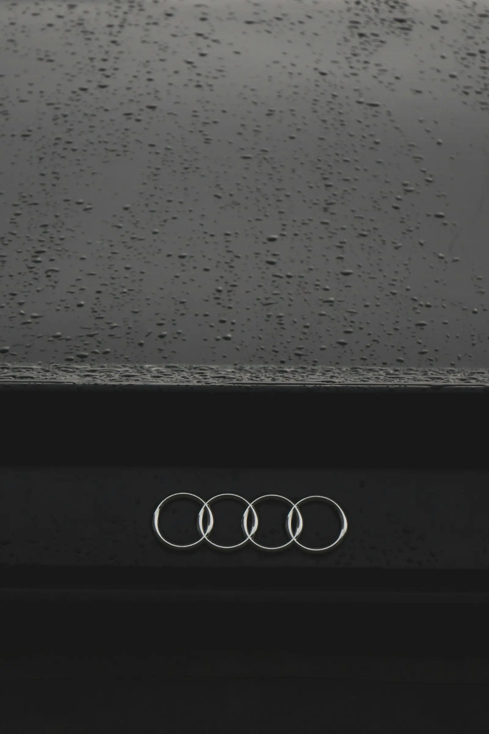 Audi rings on a wet black grille